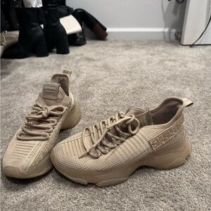Steve Madden Sneakers